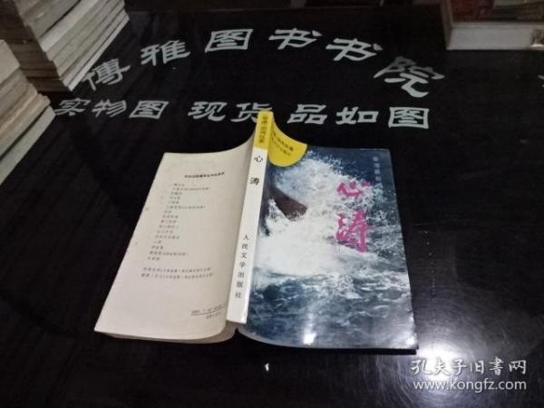 揭秘成功背后的秘密，最新創(chuàng)銷(xiāo)書(shū)探索成功之路的啟示