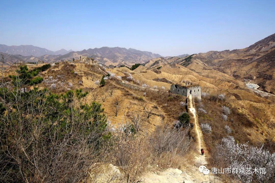 王愛軍書法價(jià)格,王愛軍書法價(jià)格，探索隱藏在小巷中的藝術(shù)寶藏